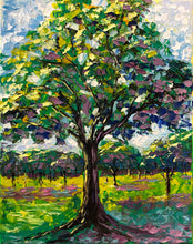 Load image into Gallery viewer, Young Oak Tree - 11X14 Original Oil Painting